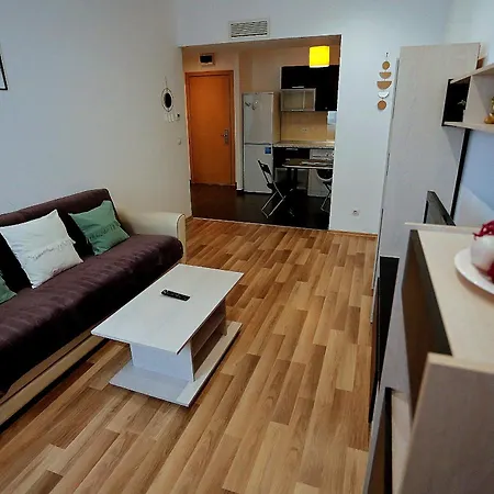 Apartment Excellence House Bucharest